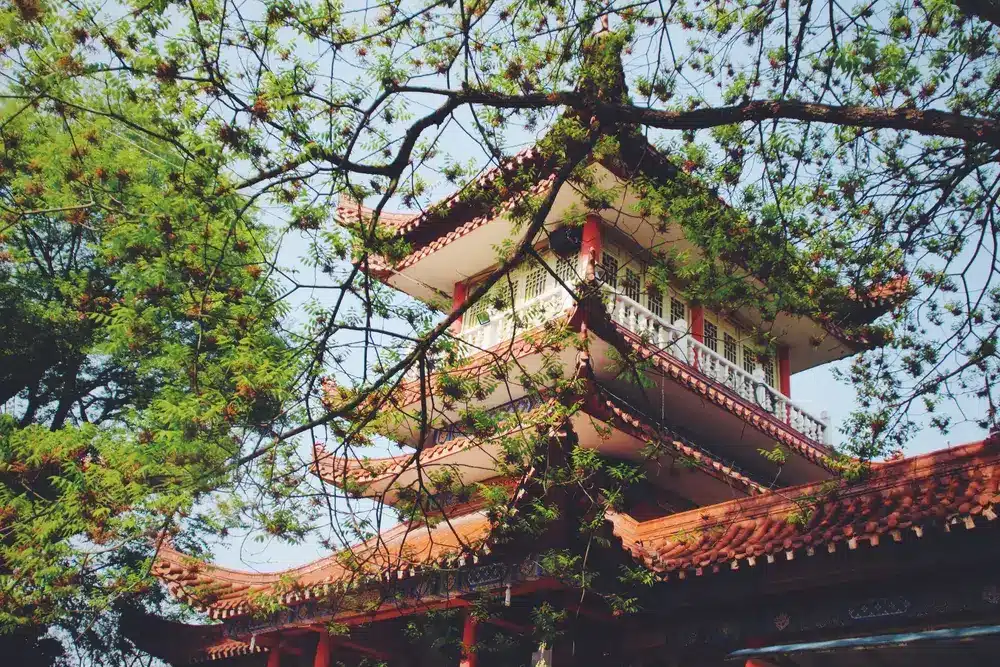 L'alchimie des senteurs : Créer votre mélange d'encens chinois personnalisé 2 blog 3 c
